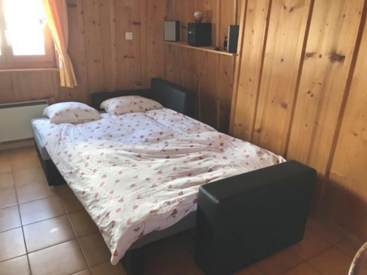 Chalet Le Biolley 2 奥西埃 外观 照片