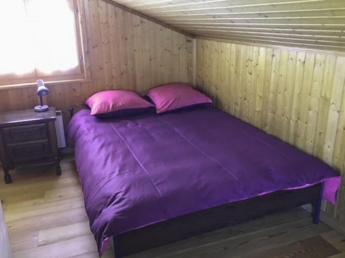 Chalet Le Biolley 2 奥西埃 外观 照片