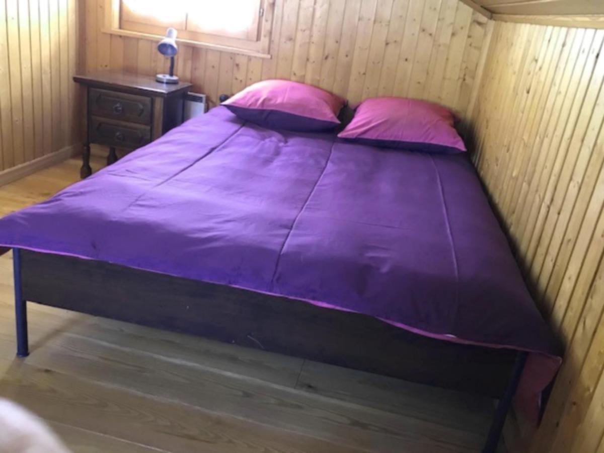 Chalet Le Biolley 2 奥西埃 外观 照片